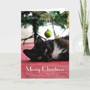 De Kerstkaart van de kat Feestdagen Kaart