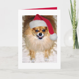De Kerstkaart van de Kerstman van Pomeranian Feestdagen Kaart