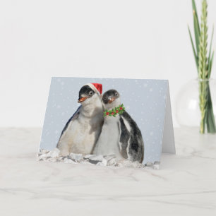 De Kerstkaart van de Pinguïnen van de partij Feestdagen Kaart