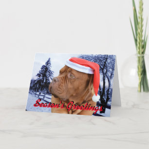 De Kerstkaart van Dogue DE Bordeaux Feestdagen Kaart