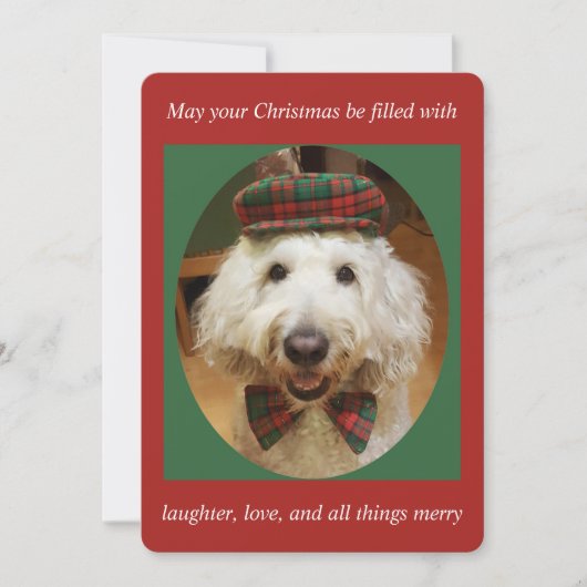 De Kerstkaart van Goldendoodle (Voorkant)