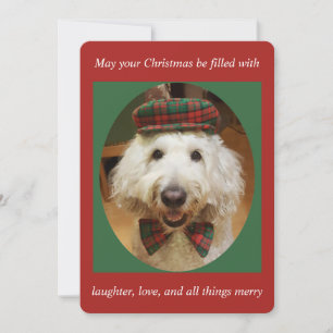 De Kerstkaart van Goldendoodle