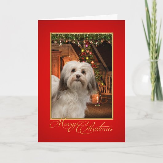 De Kerstkaart van Havanese Feestdagen Kaart (Voorkant)