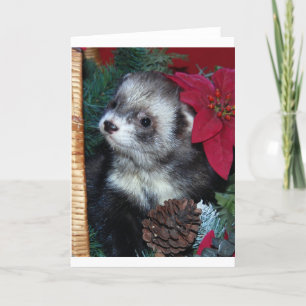 De Kerstkaart van het fret Feestdagen Kaart