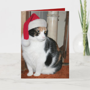 De Kerstkaart van het Kat van de kerstman voor Feestdagen Kaart
