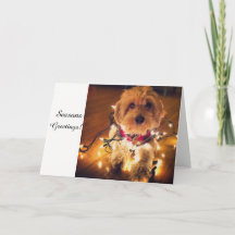 De Kerstkaart van het Puppy van Cockapoo