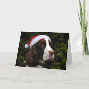 De Kerstkaart van het Spaniel van de Aanzetsteen Feestdagen Kaart