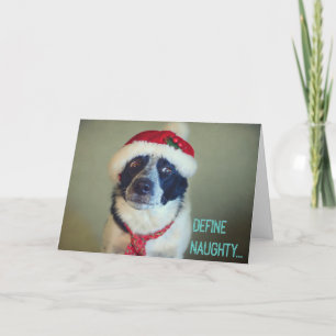 De kerstkaart van Naughty Border Collie. Feestdagen Kaart