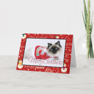 De Kerstkaart van Ragdoll Feestdagen Kaart