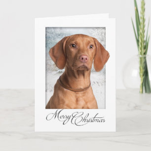 De Kerstkaart van Vizsla Feestdagen Kaart