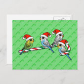 De Kerstman Budgies van het Riet van het snoep Feestdagenkaart (Voorkant / Achterkant)