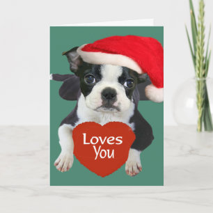 De Kerstman van Boston Terriers Feestdagen Kaart