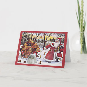 De Kerstman van de Kerstkaart van Tzu van Shih Feestdagen Kaart