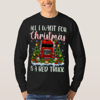 De kerstverlichting die ik alleen voor Kerstmis wi T-shirt