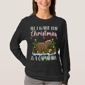 De kerstverlichting die ik alleen voor Kerstmis wi T-shirt