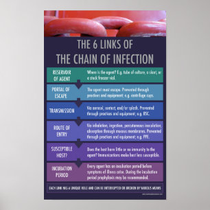 De keten van educatief Poster voor de opvoeding