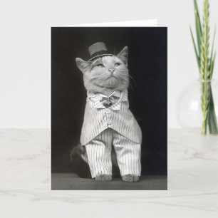 De Keurige Kat, 1906 Kaart