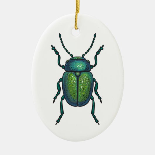 De kever keramisch ornament (Voorkant)