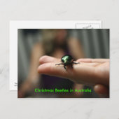 De Kever van Kerstmis Feestdagenkaart (Voorkant / Achterkant)