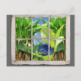 De Kikker van het Pijltje van het vergift Briefkaart