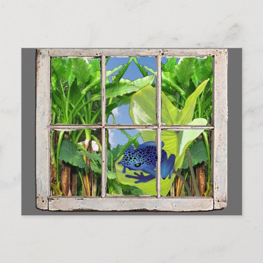 De Kikker van het Pijltje van het vergift Briefkaart (Voorkant)