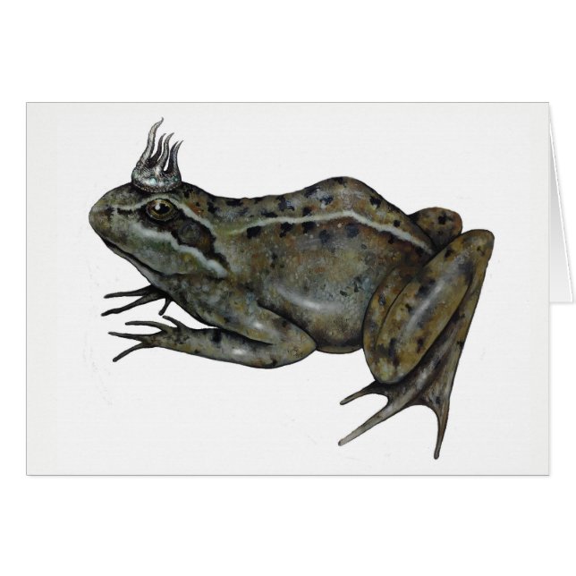 De kikkerprins. (Voorkant Horizontaal)