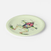 De Kikker's Anatomy Green Papieren Bordje (Gekanteld)