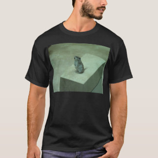 De Killer Mouse (Onychomys leucogaster) houdt zich T-shirt