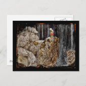 De kinderen met Stone Troll Briefkaart (Voorkant / Achterkant)