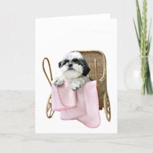 De kinderwagen van Tzu van Shih Kaart