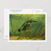De Kingfisher Van Gogh Fine Art Briefkaart (Voorkant / Achterkant)