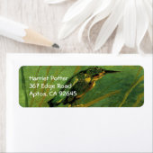 De Kingfisher Van Gogh Fine Art Etiket (Insitu)