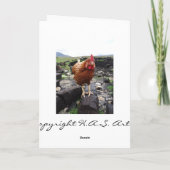 De kip van het gras, Ierland Kaart (Achterkant)