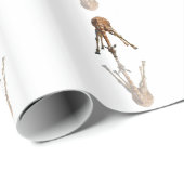 DE KISS CADEAUPAPIER (Rol Hoek)