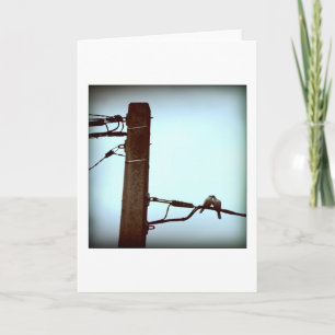 DE KISS-Kaart Feestdagen Kaart