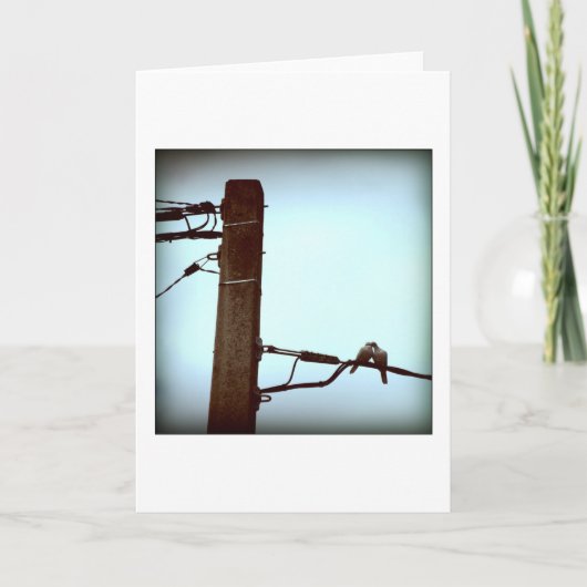 DE KISS-Kaart Feestdagen Kaart (Voorkant)