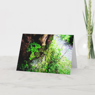 De Klavers van Monniken Kaart