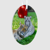 De kleine jongens - ornament (voorkant)