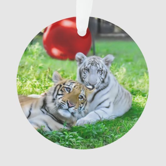 De kleine jongens - ornament (voorkant)