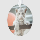 De kleine jongens - ornament (voorkant)