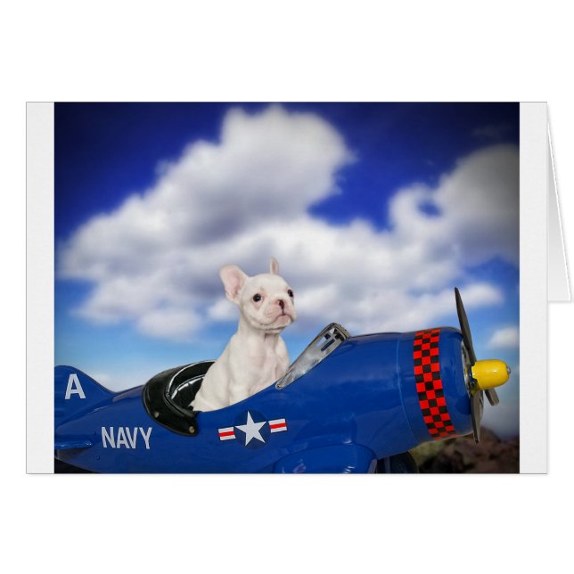 De kleine piloot (Voorkant Horizontaal)