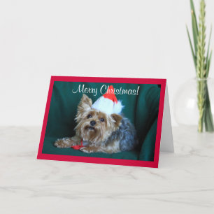 De kleine Yorkie in Santa Hat Feestdagen Kaart