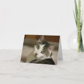 De kleinste Kaarten van de Nota van de Tijger (Voorkant)