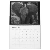 De kleinste reuzen kalender (Feb 2027)