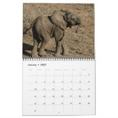 De kleinste reuzen kalender (Jan 2027)