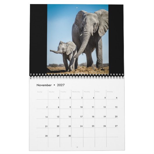 De kleinste reuzen kalender (Nov 2027)