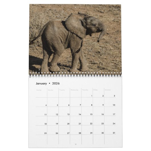 De kleinste reuzen kalender (Jan 2026)