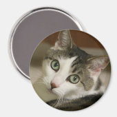 De kleinste tijger Button Magneet (Voorkant / Achterkant)