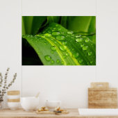 De kleur van de regen. poster (Keuken)