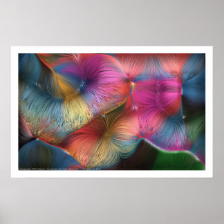 De kleuren in het haar poster